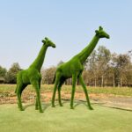 Artificial grass big giraffe IMG_5999