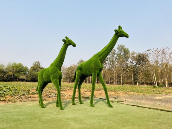 Artificial grass big giraffe IMG_5999