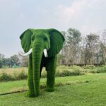 Artificial grass large african elephant 1 IMG_3352