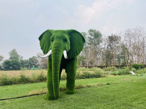 Artificial grass large african elephant 1 IMG_3352