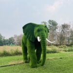 Artificial grass large african elephant 3 IMG_3353 (1)
