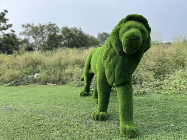 artificial grass standing lion 2IMG_7605