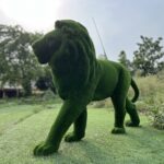 artificial grass standing lion 3 IMG_7610