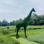 Artificial Grass Large Giraffe 4 IMG_0237 (2)