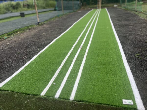cricket mat turf IMG_4919