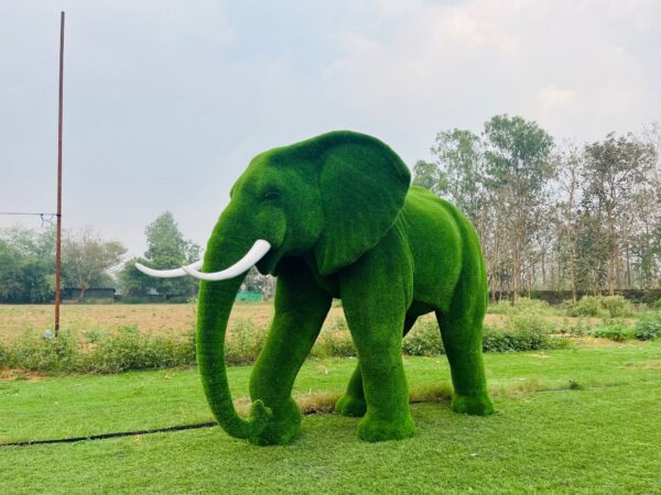 Artificial Grass Large African Elephant 2IMG_3348