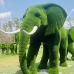 Artificial Grass Large African Elephant 3IMG_3395