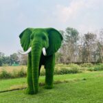 Artificial Grass Large African Elephant 4IMG_3352