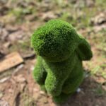 Artificial Rabbit IMG_5295 (1)