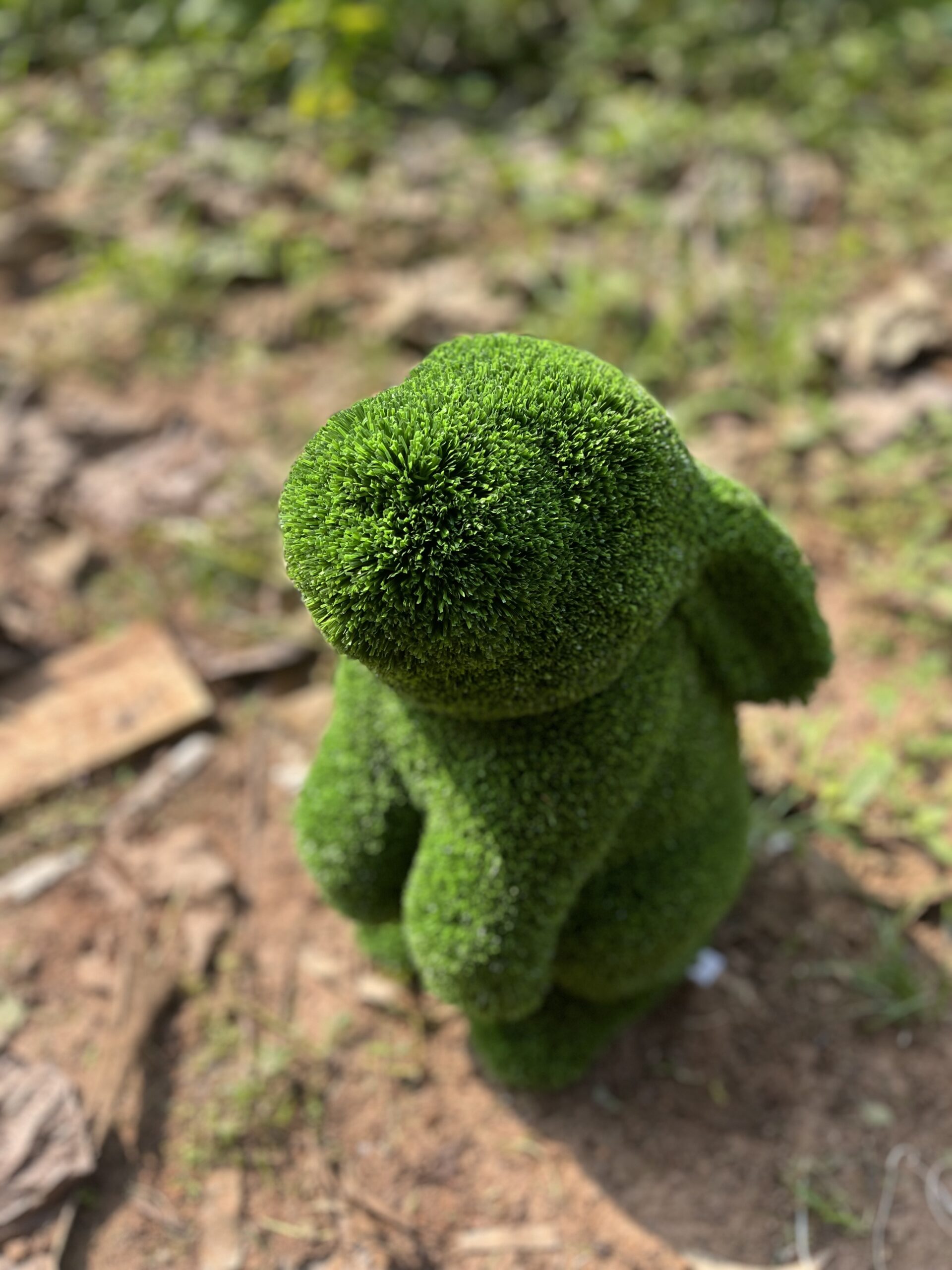 Artificial Rabbit IMG_5295 (1)