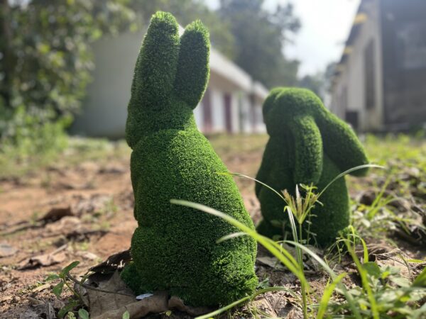 Artificial grass rabbit pair 4 IMG_5311