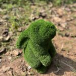 Bunny Topiary 4 IMG_5298