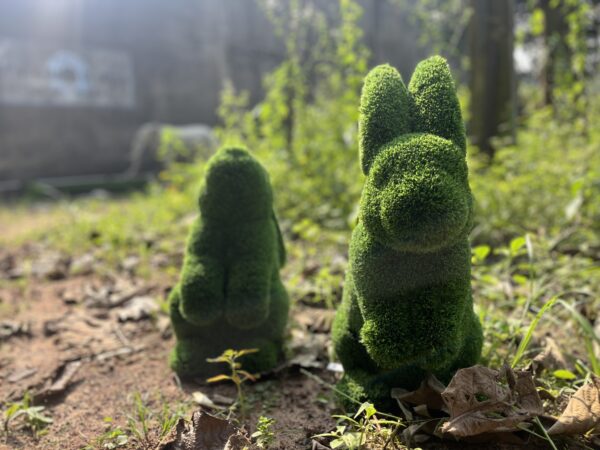 Bunny Topiary Pair 5 pairIMG_5307