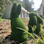 Bunny Topiary pair 4 IMG_5311