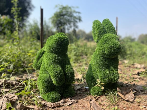 Bunny topiary pair 6 IMG_5312