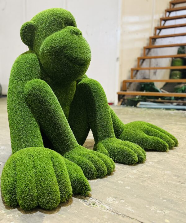 IMG_6518 Monkey Topiary