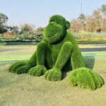 Monkey Topiary