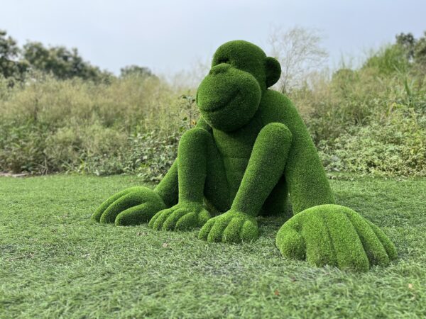 IMG_7618 Artificial Grass Monkey