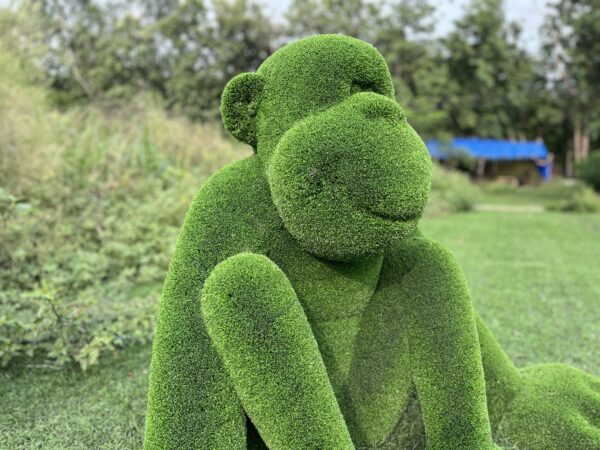 Monkey Turf IMG_7620