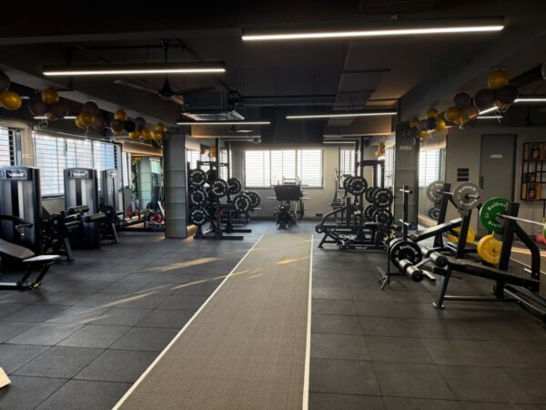 Dark Grey gym turf