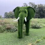 Artificial Grass Large African Elephant 2IMG_7998 (1)