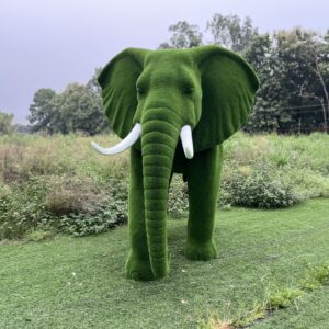 Artificial Grass Large African Elephant 2IMG_7998 (1)