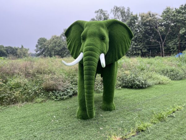 Artificial Grass Large African Elephant 2IMG_7998 (1)