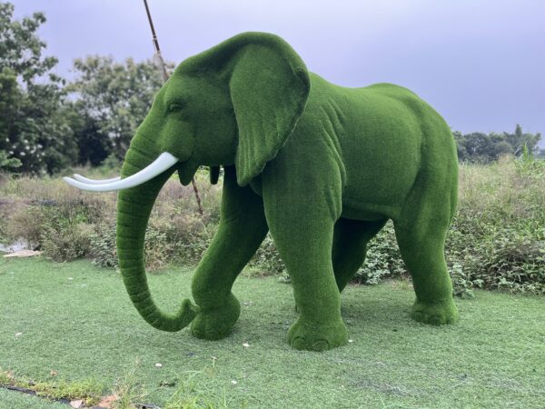 Artificial Grass Large African Elephant 2IMG_7998 (2)