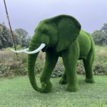 Artificial Grass Large African Elephant 3IMG_7996