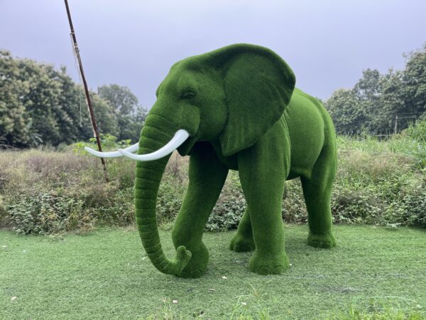 Artificial Grass Large African Elephant 3IMG_7996