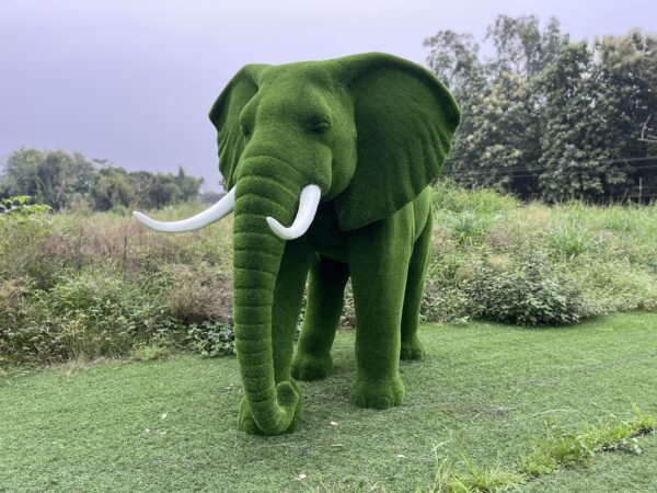 Artificial Grass Large African Elephant 5 IMG_7997