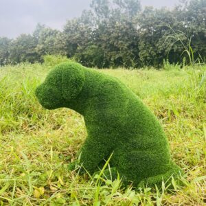 Artificial Grass Sitting PuppyIMG_7545