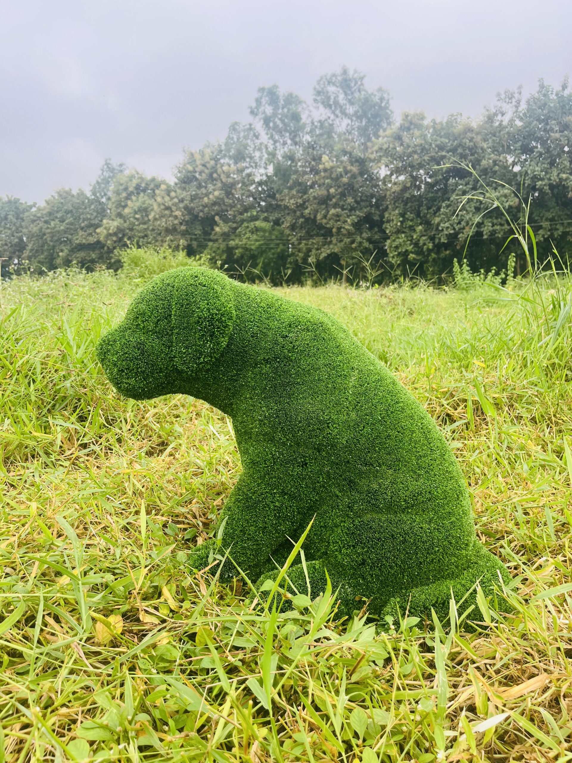 Artificial Grass Sitting PuppyIMG_7545