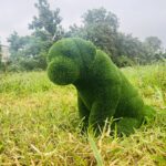 Artificial grass sitting puppy IMG_7548