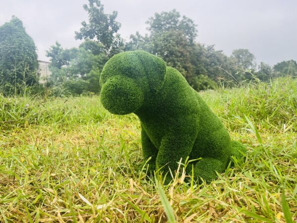 Artificial grass sitting puppy IMG_7548