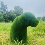 Artificial grass sitting puppy IMG_7549
