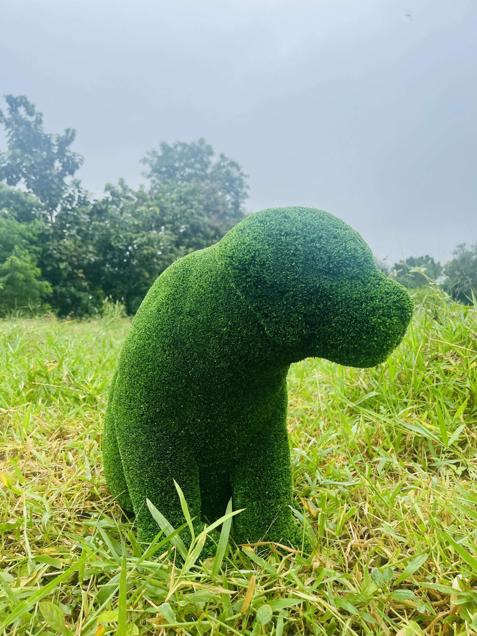 Artificial grass sitting puppy IMG_7549