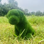 Sitting Puppy Artificial Grass IMG_7547 - Copy