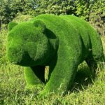 Artificial Grass Big Bear IMG_7041