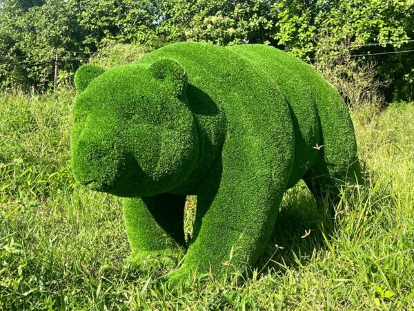 Artificial Grass Big Bear IMG_7041