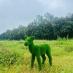 Artificial Grass Fawn IMG_7566