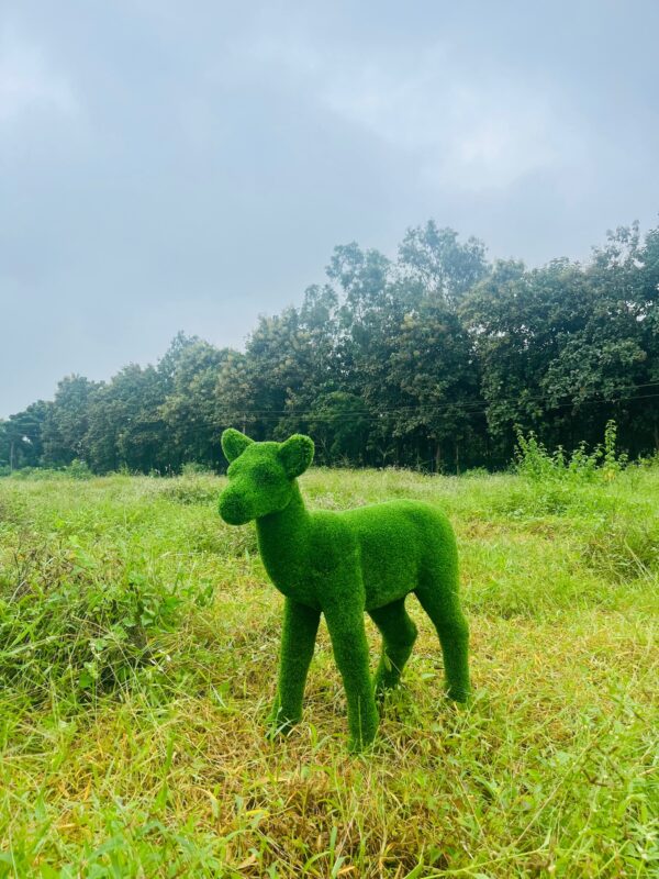 Artificial Grass Fawn IMG_7566