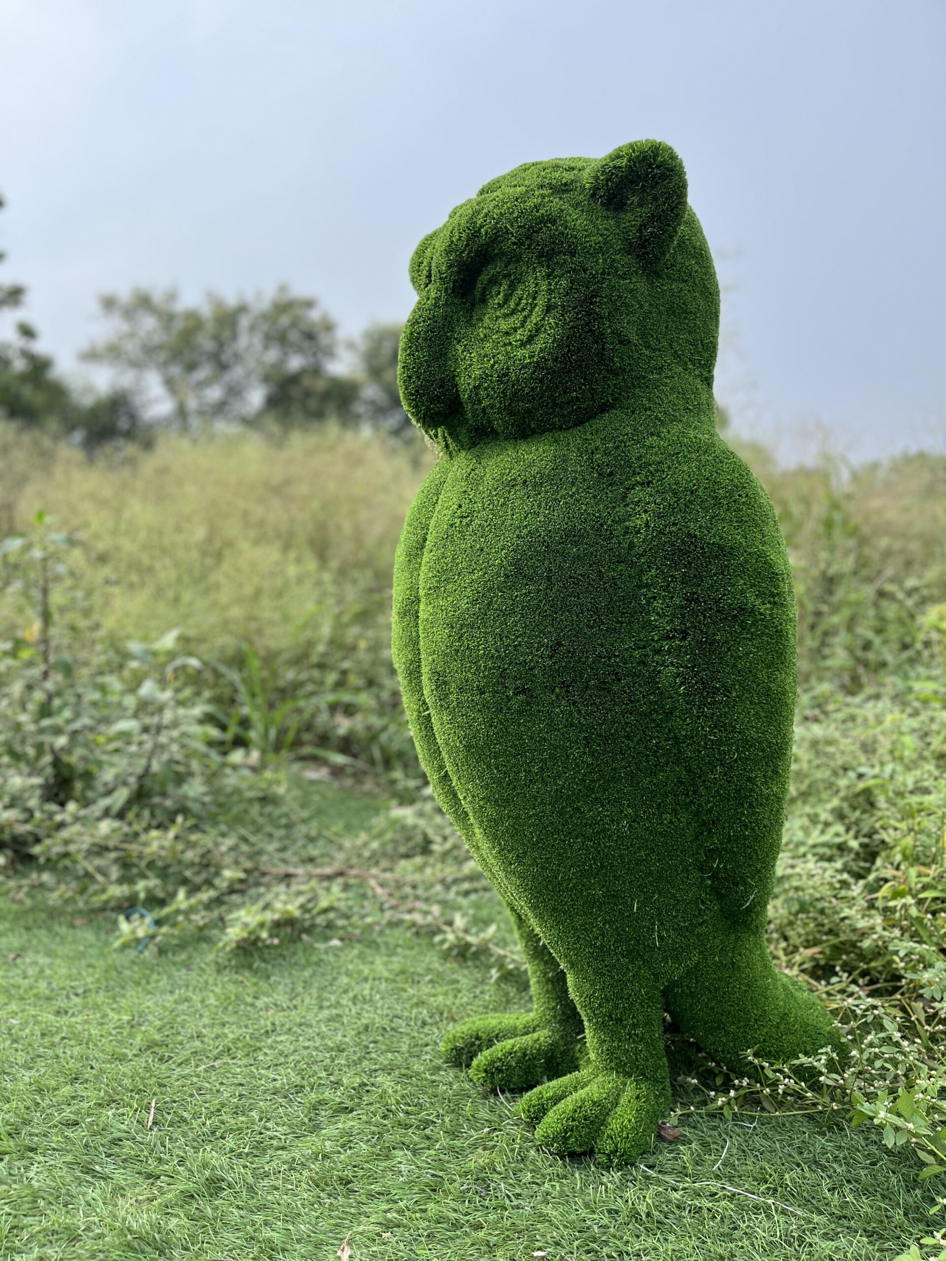 Artificial Grass Owl 2IMG_7592