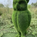 Artificial Grass Owl 3 IMG_7594