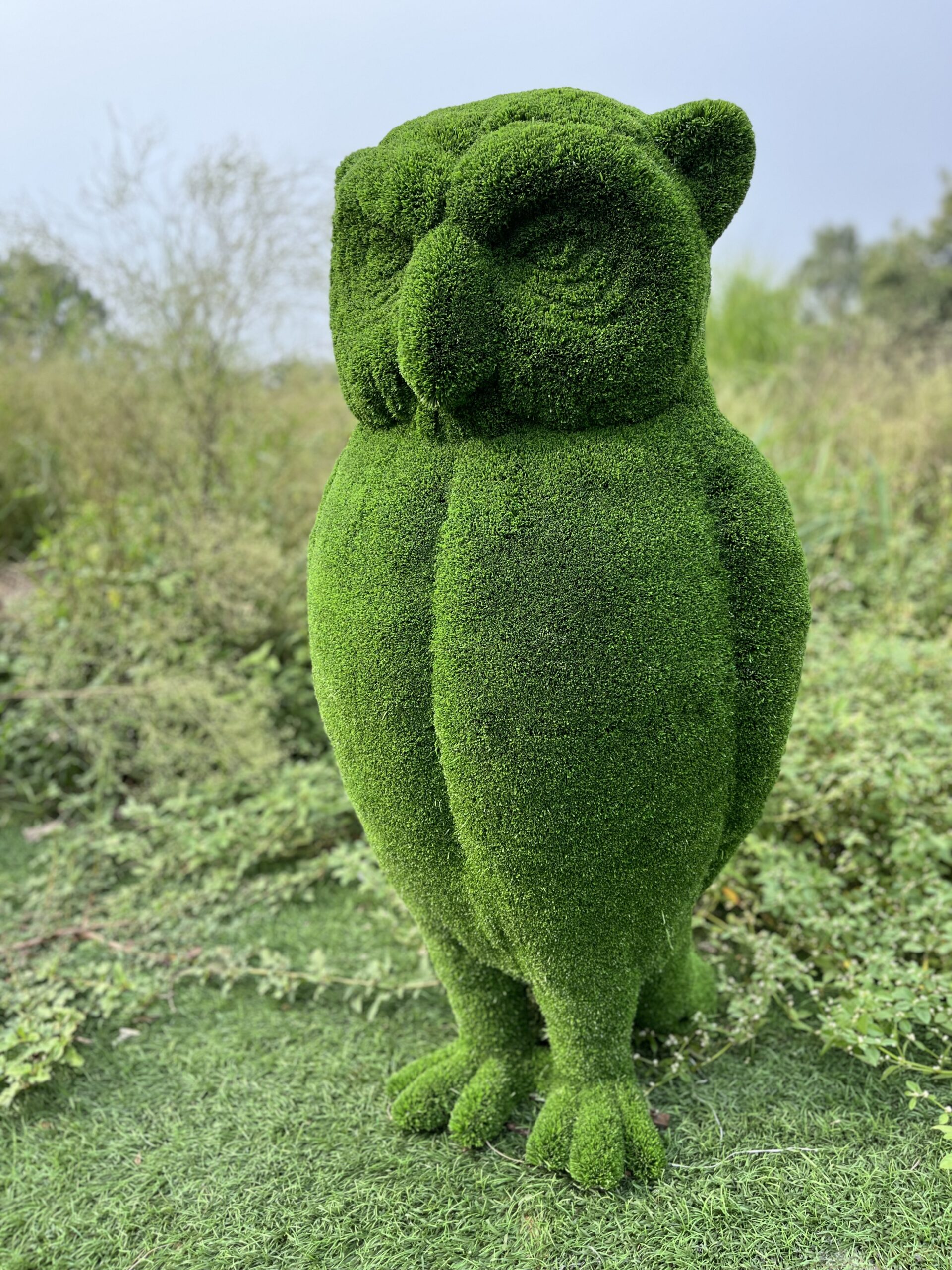 Artificial Grass Owl 3 IMG_7594