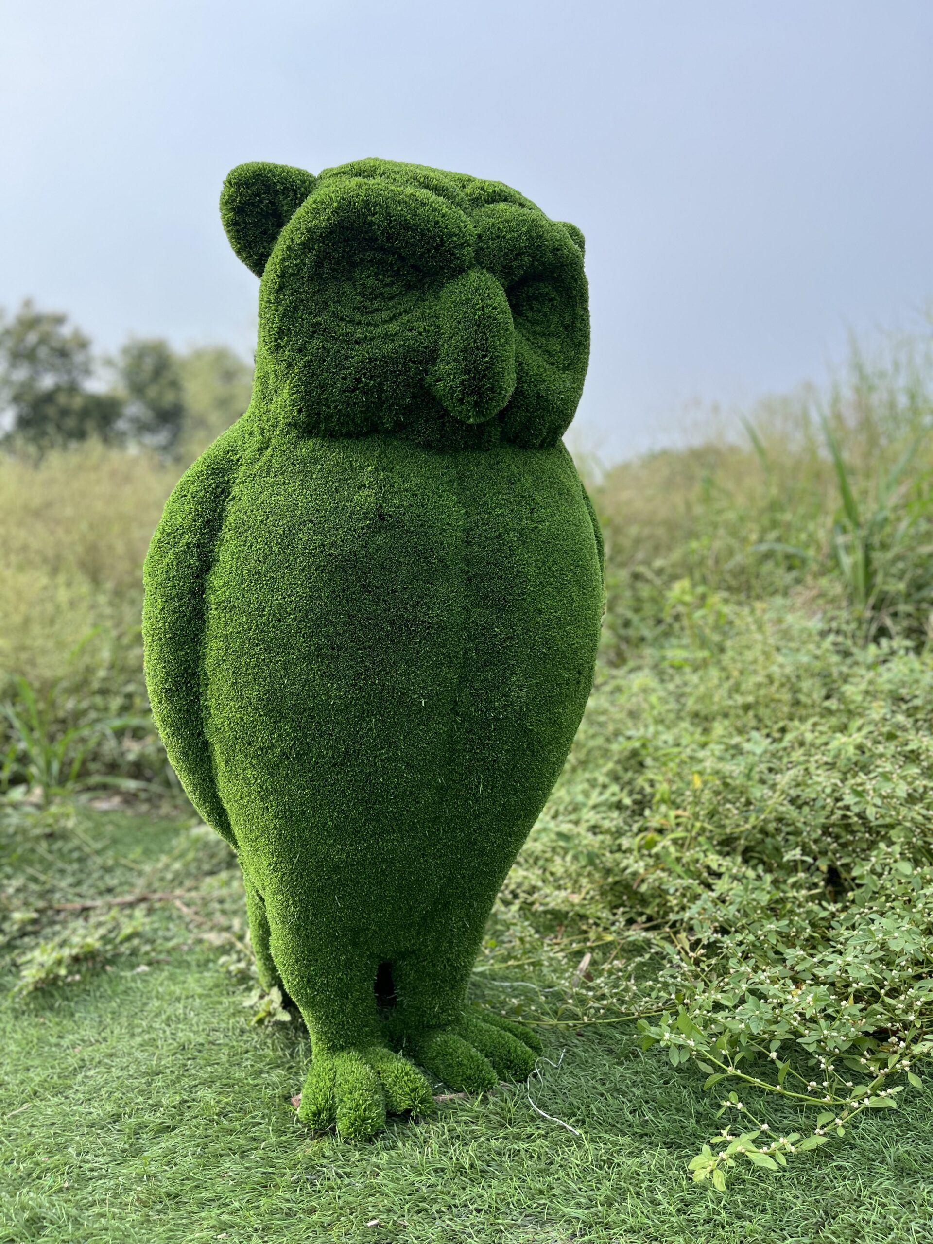 Artificial Grass Owl 4IMG_7595