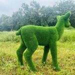 Artificial grass fawn 3 IMG_7571 (1)