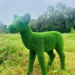 Artificial grass fawn 3 IMG_7571 (2)