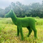 Artificial grass fawn 4 IMG_7569