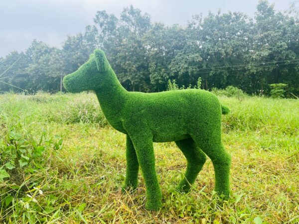 Artificial grass fawn 4 IMG_7569